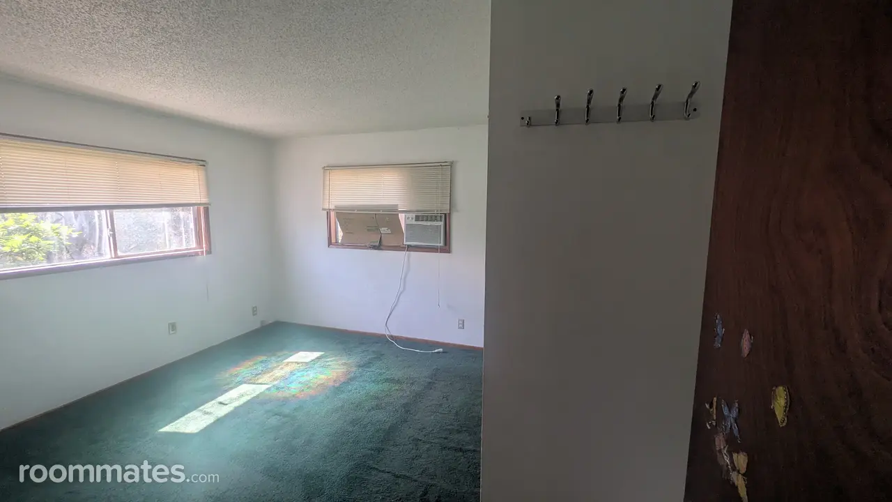 Profile photo 2 of 6