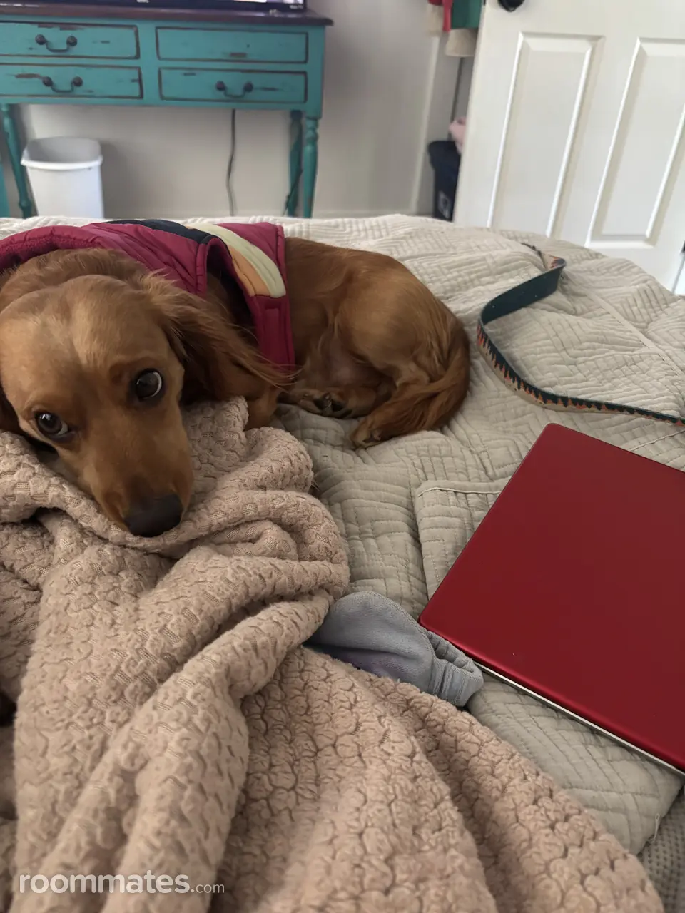 Profile photo 3 of 3