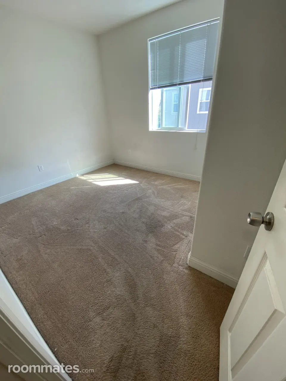 Profile photo 2 of 8