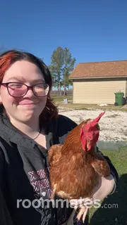 Roommate looking Spring, TX, $700