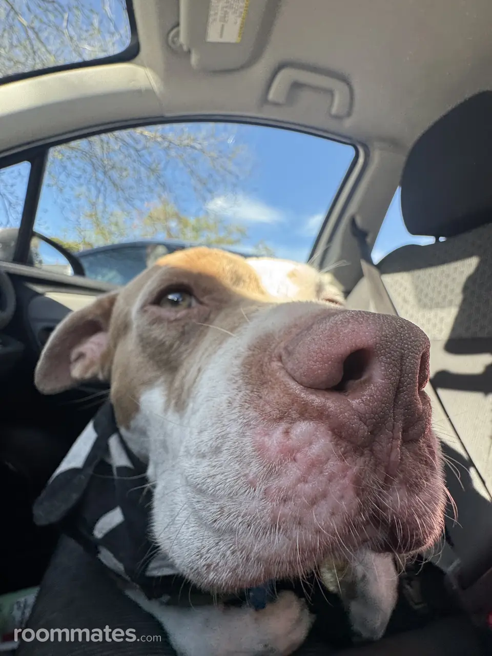 Profile photo 4 of 9