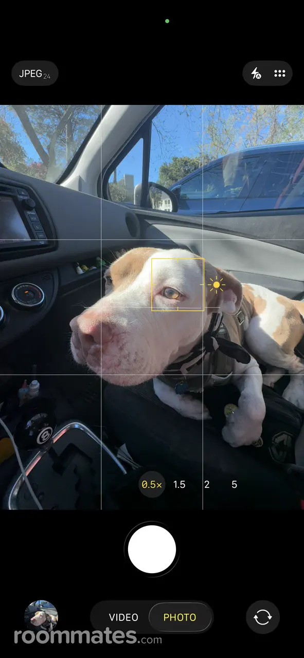 Profile photo 6 of 9