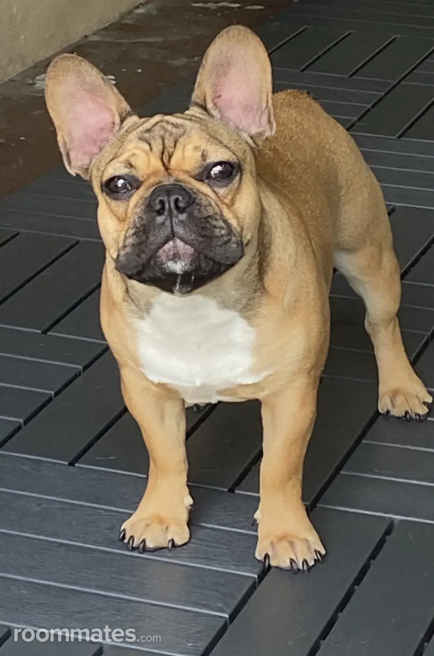 Profile photo 4 of 4