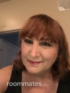 Roommate looking Denton, TX, $800