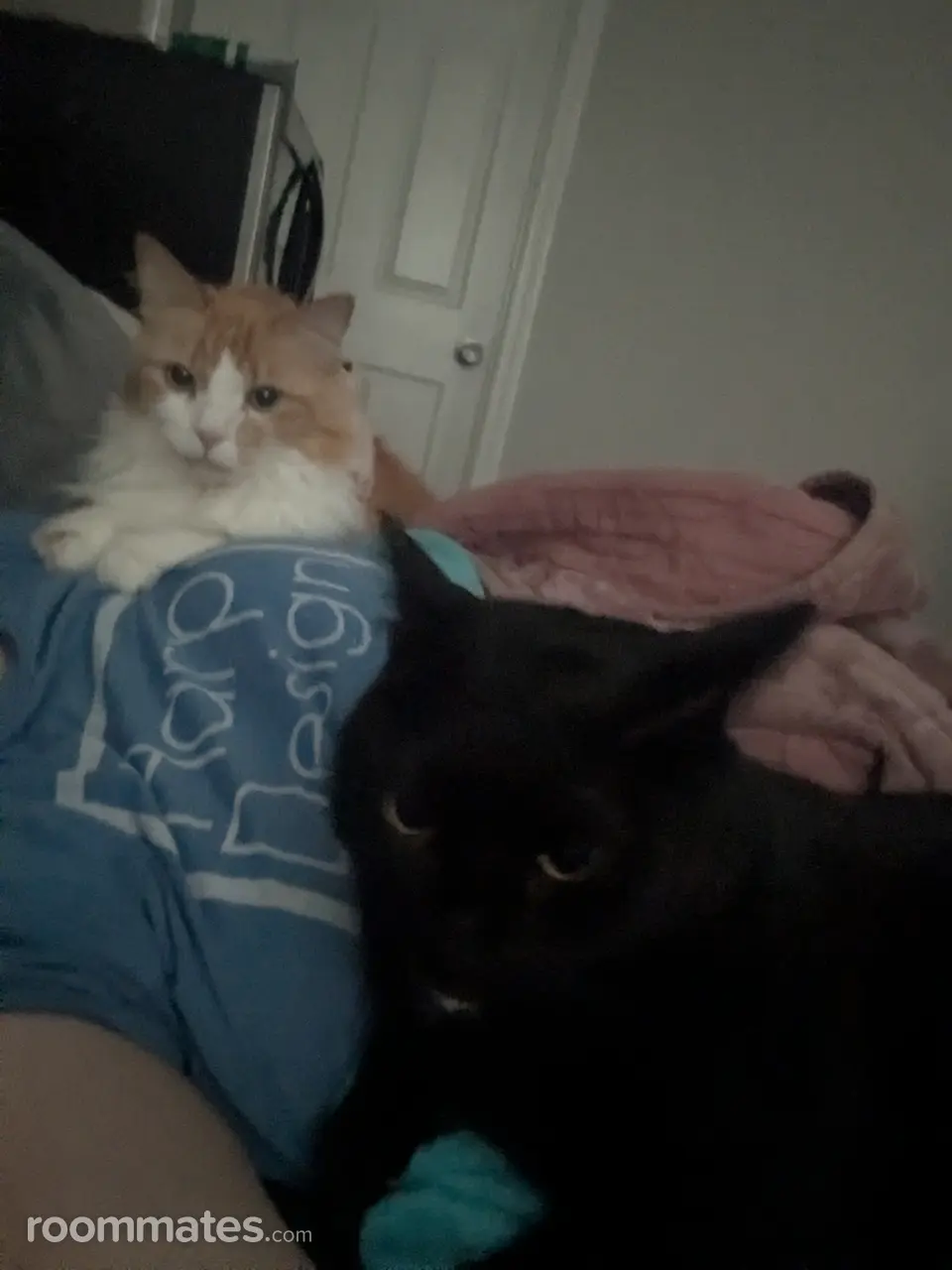 Profile photo 2 of 5