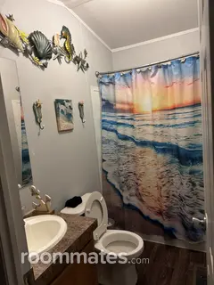 Room for rent in Dallas, TX $500, other