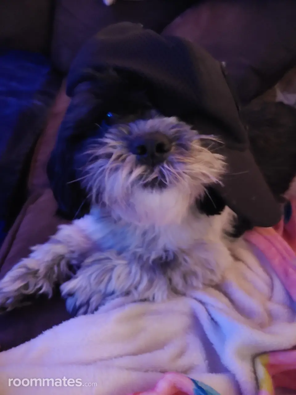 Profile photo 2 of 3