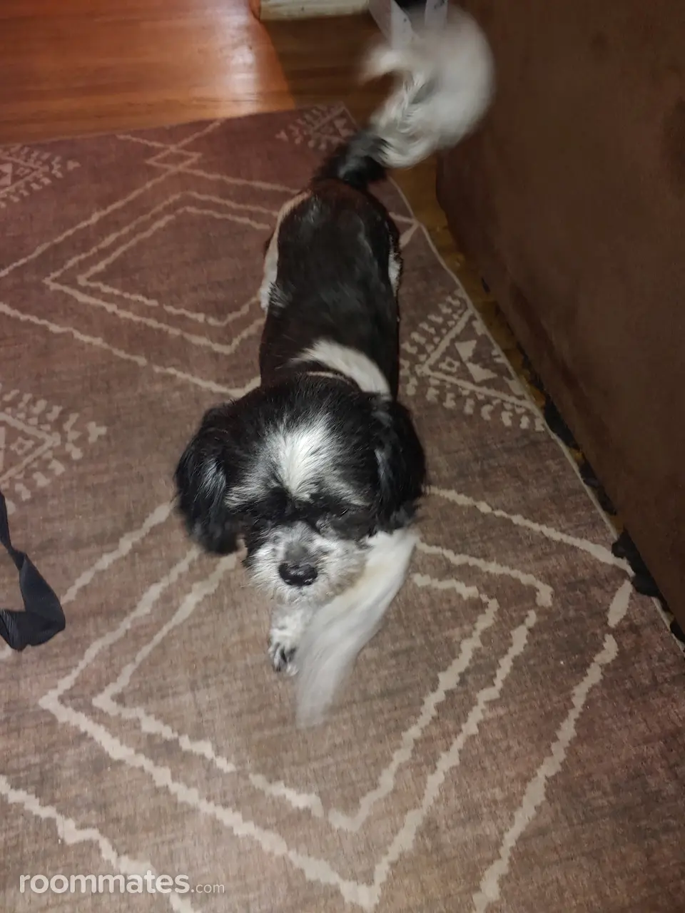 Profile photo 3 of 3