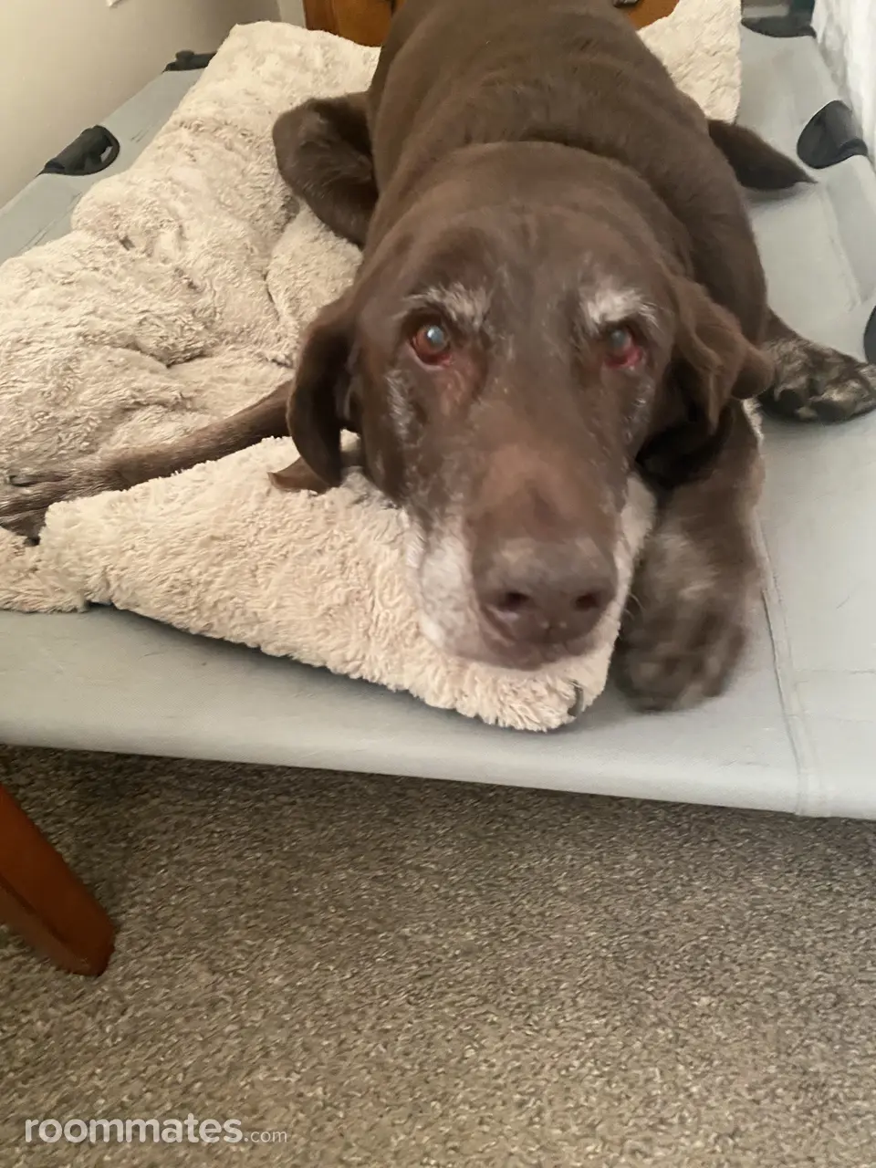 Profile photo 9 of 11