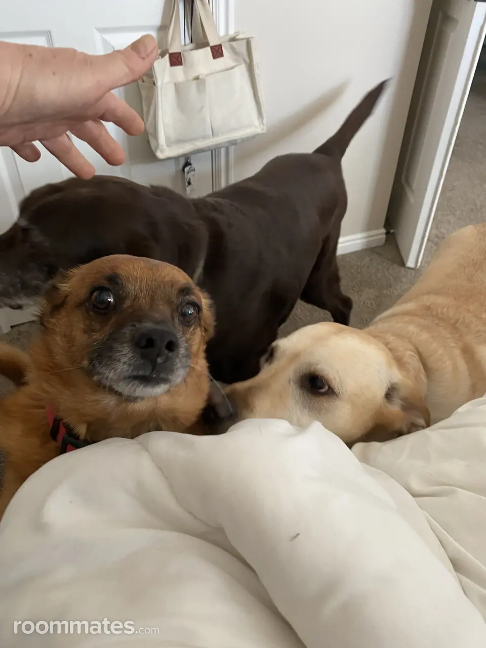 Profile photo 10 of 11