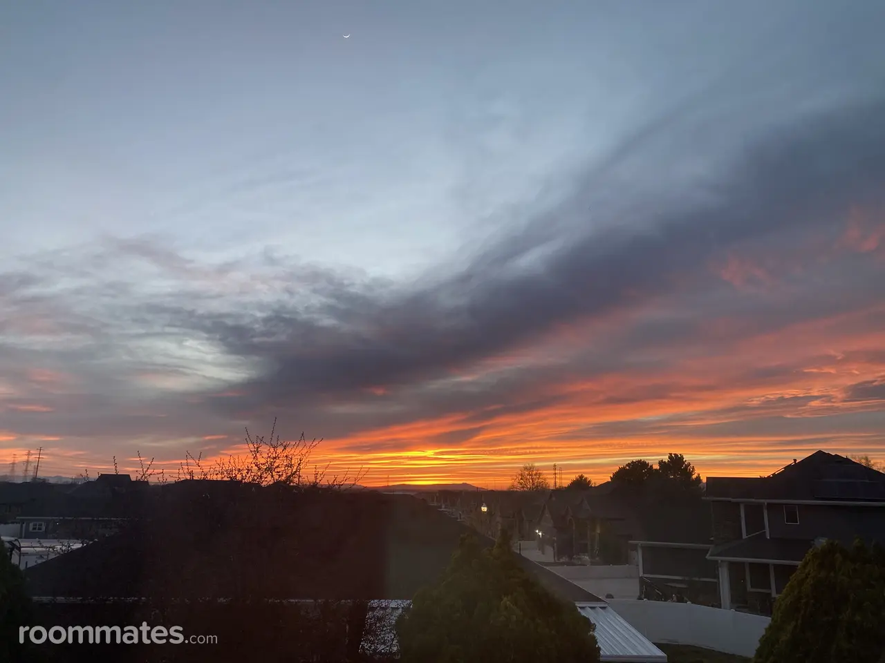 Profile photo 11 of 11