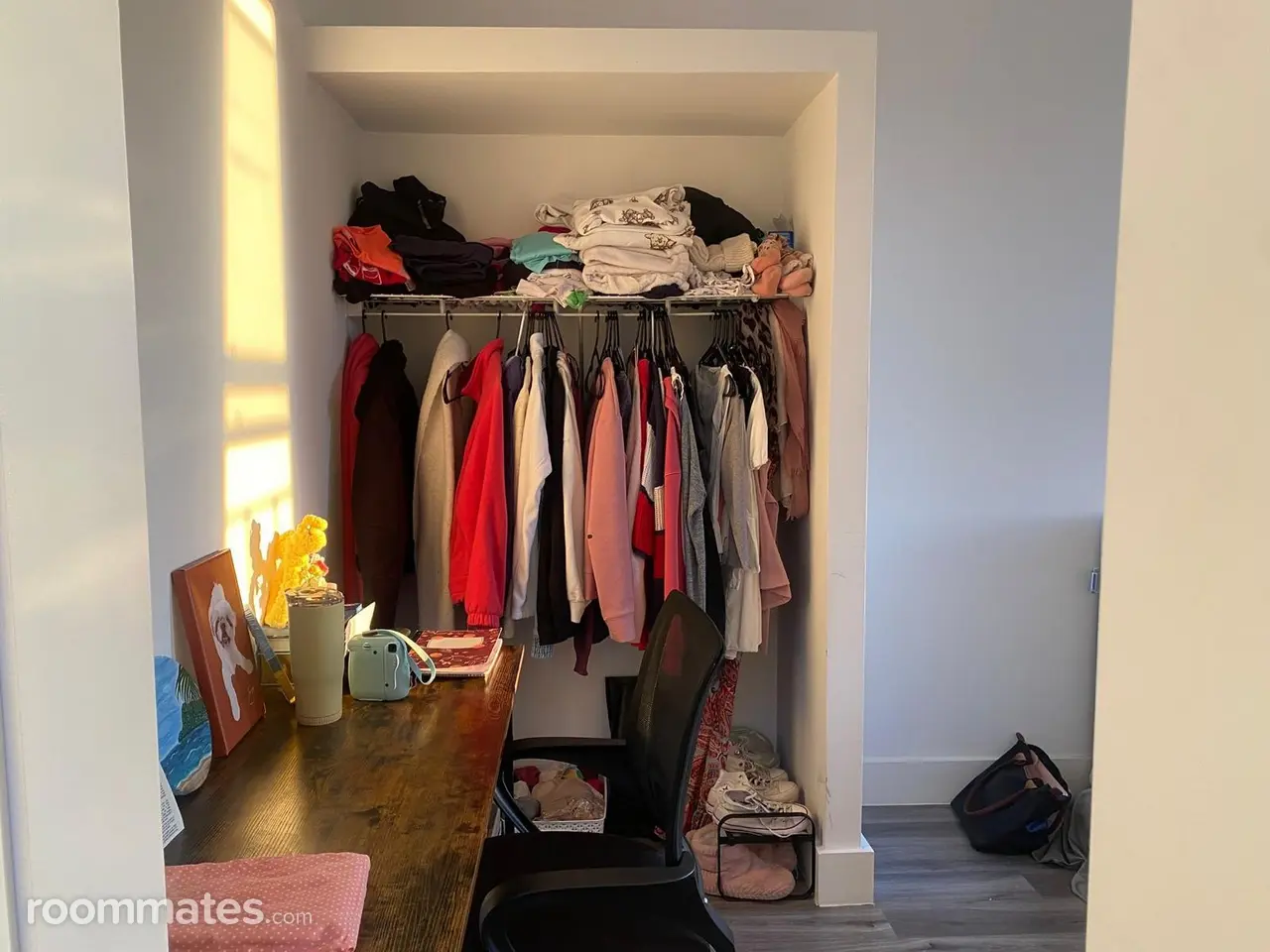 Profile photo 2 of 11