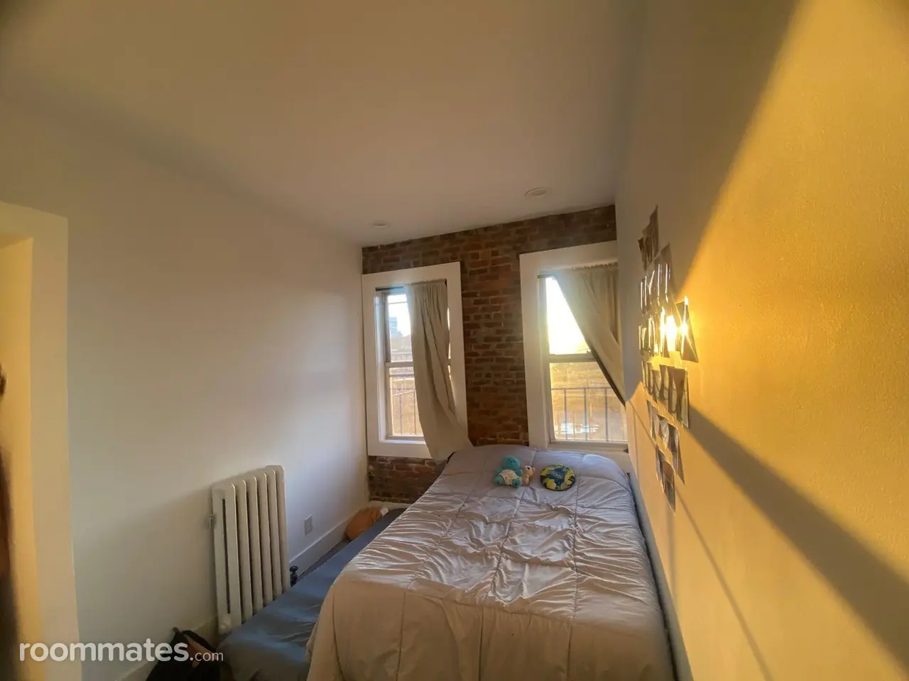 Profile photo 3 of 11