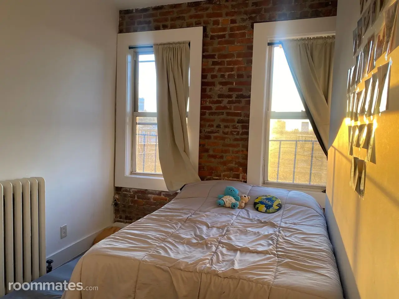 Profile photo 11 of 11