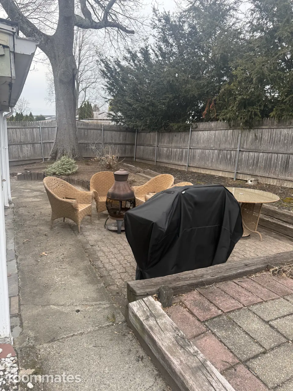 Profile photo 6 of 6