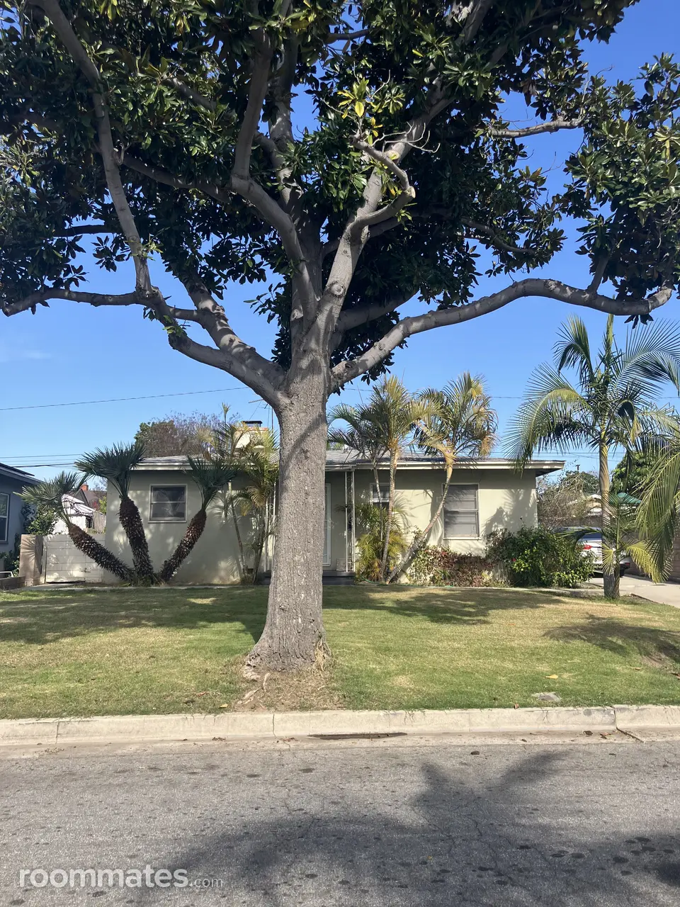 Profile photo 7 of 10