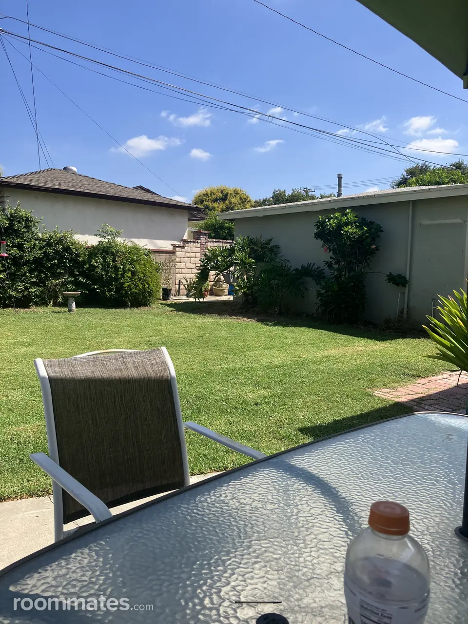 Profile photo 8 of 10