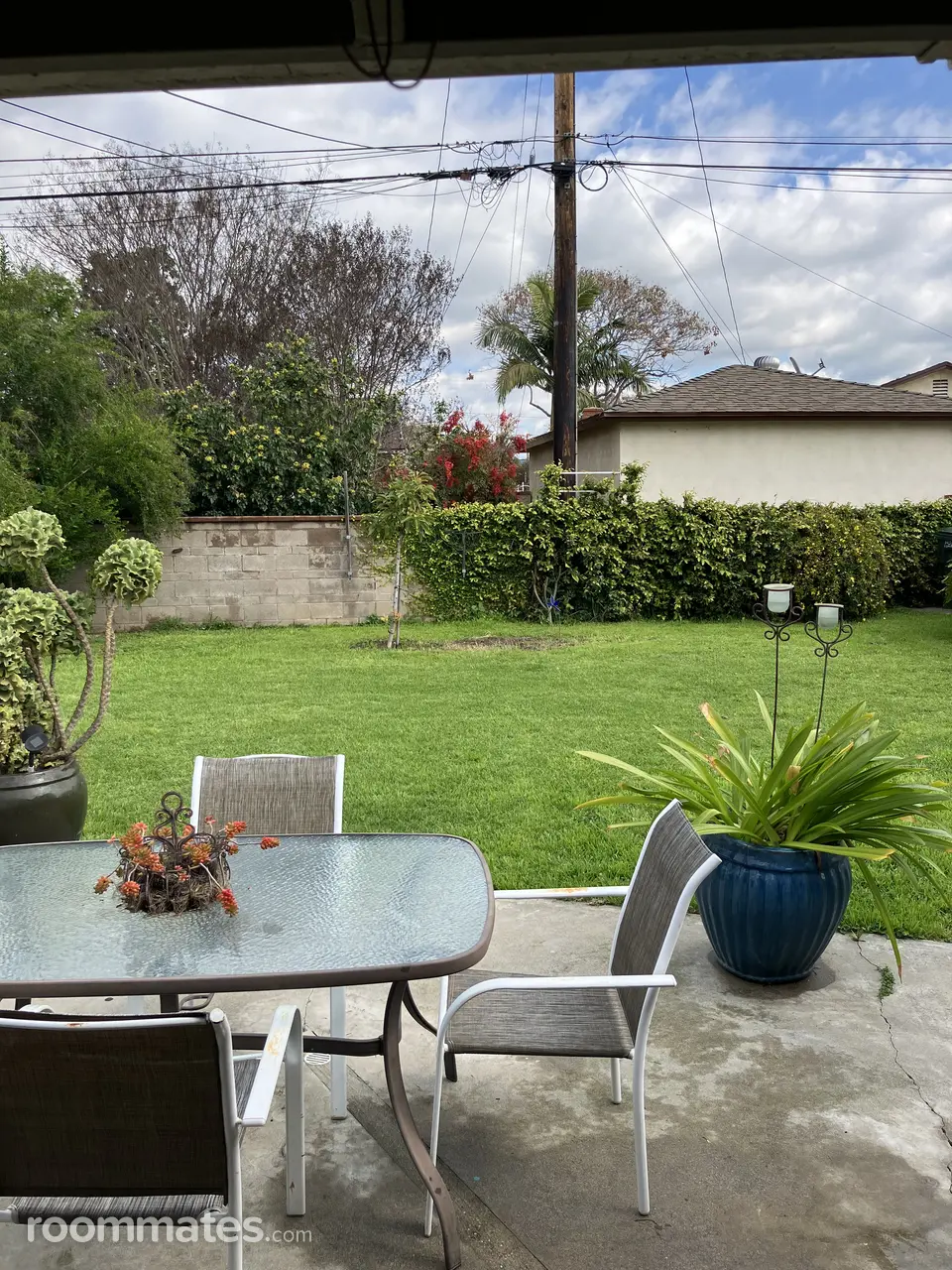 Profile photo 6 of 10