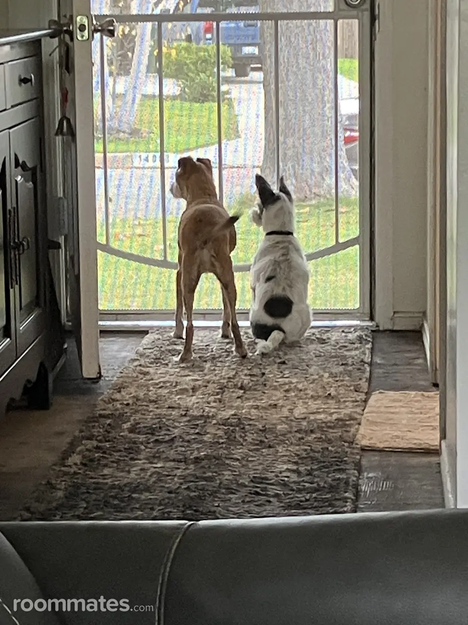 Profile photo 9 of 10