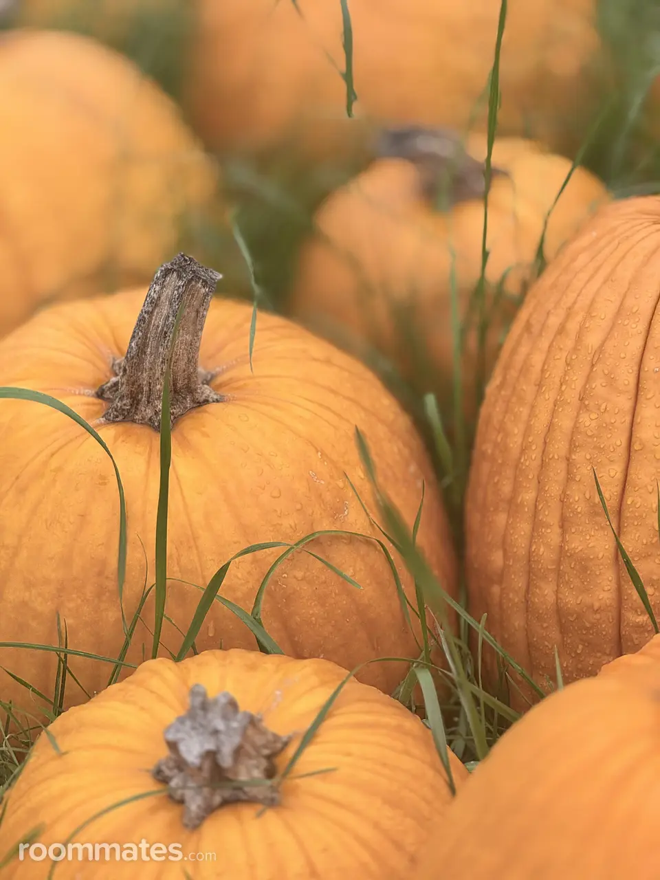 Profile photo 1 of 1