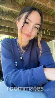 Roommate looking Canton, MA, $1000