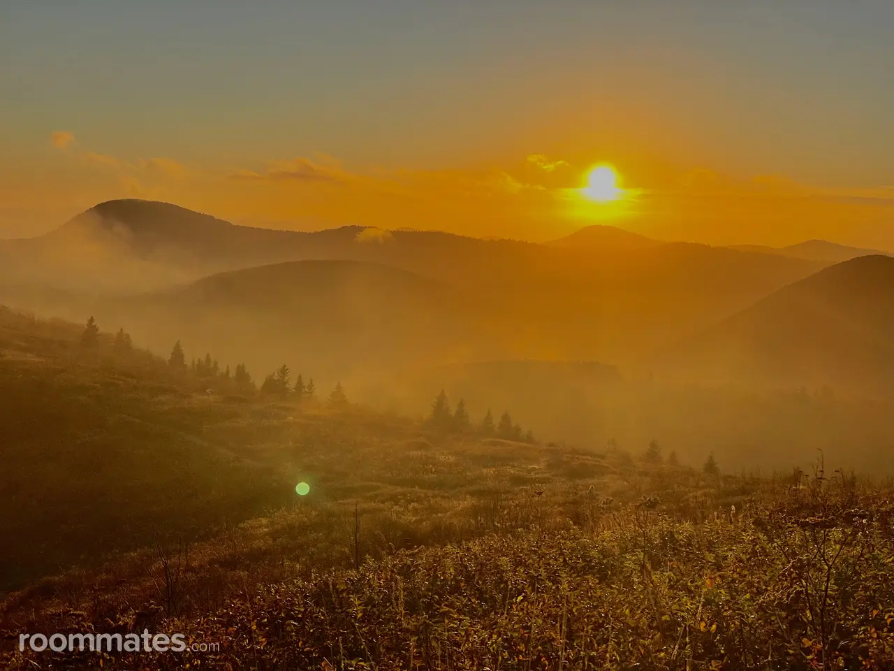 Profile photo 5 of 5