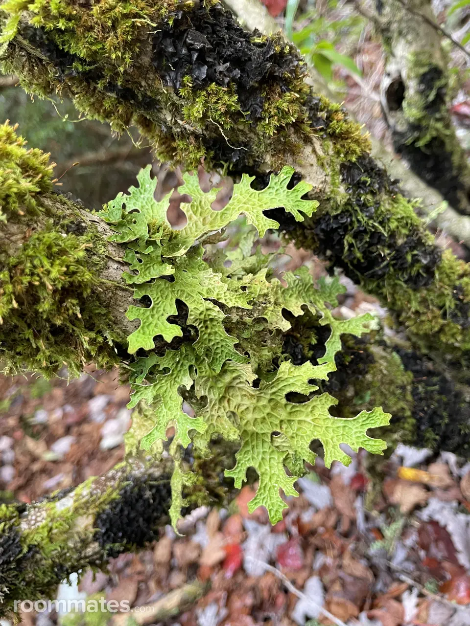 Profile photo 4 of 5