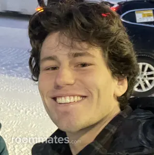 Roommate looking Greenville, SC, $1100