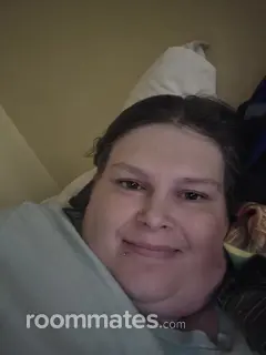 Roommate looking Jacksonville, FL, $500