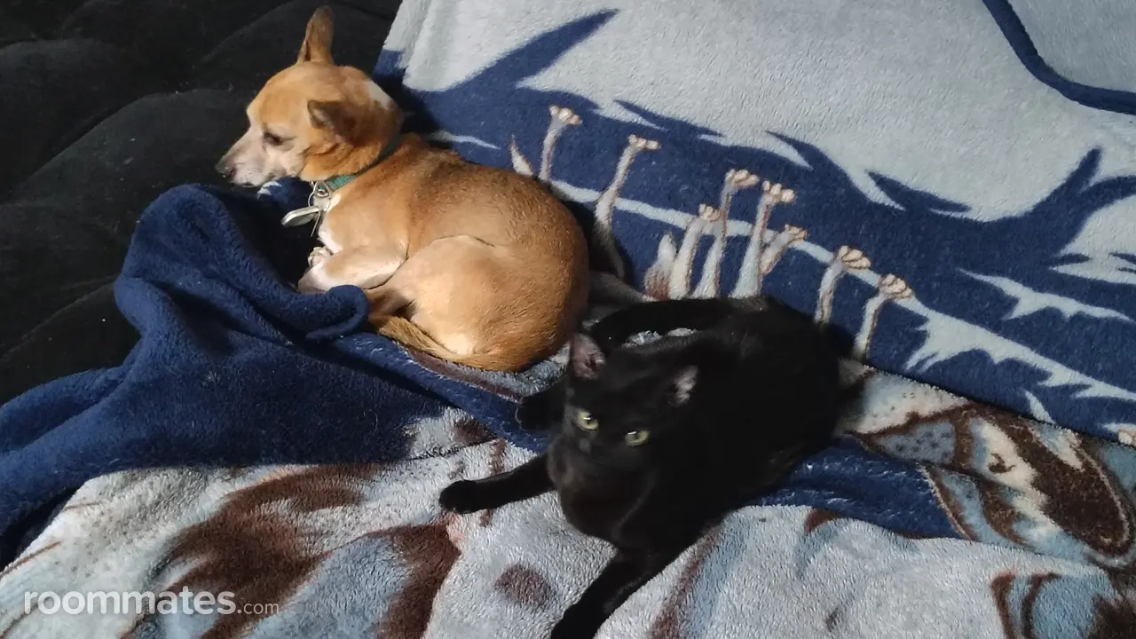 Profile photo 1 of 1