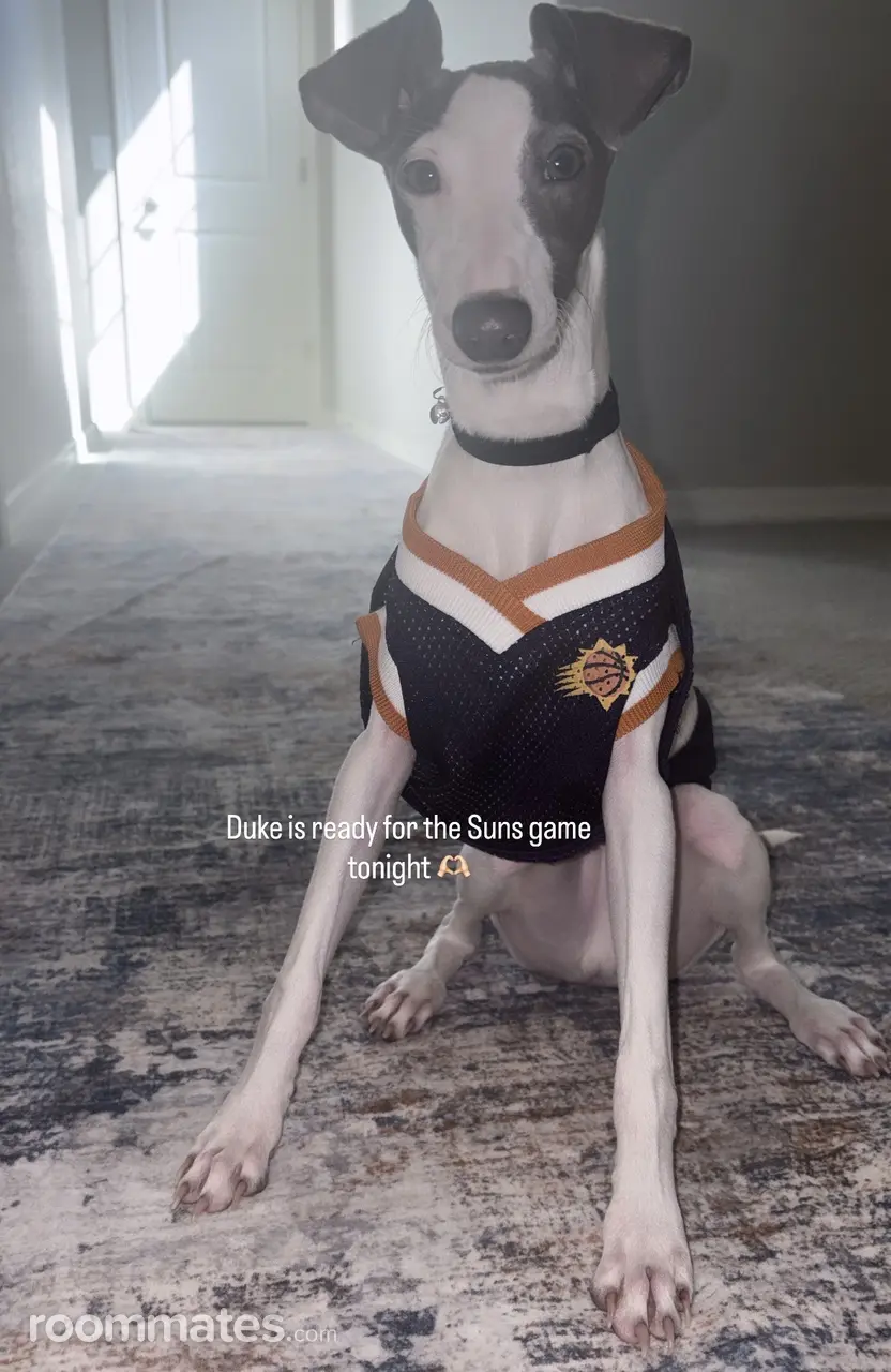 Profile photo 2 of 2