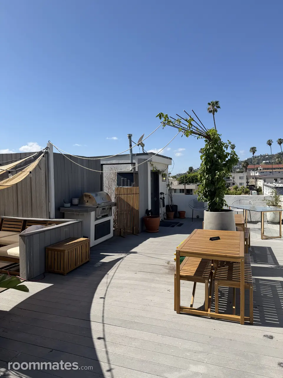 Profile photo 3 of 11