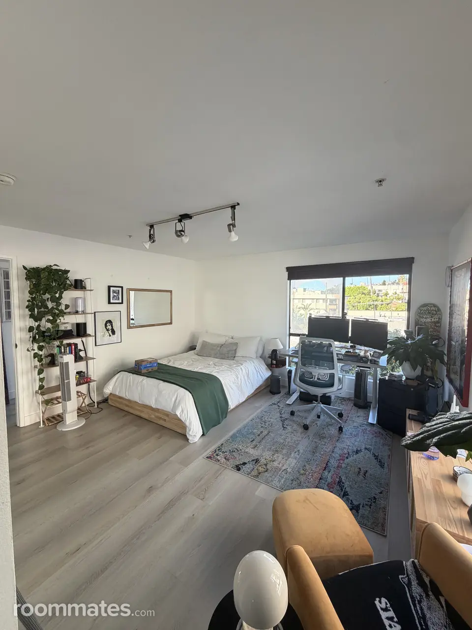 Profile photo 10 of 11