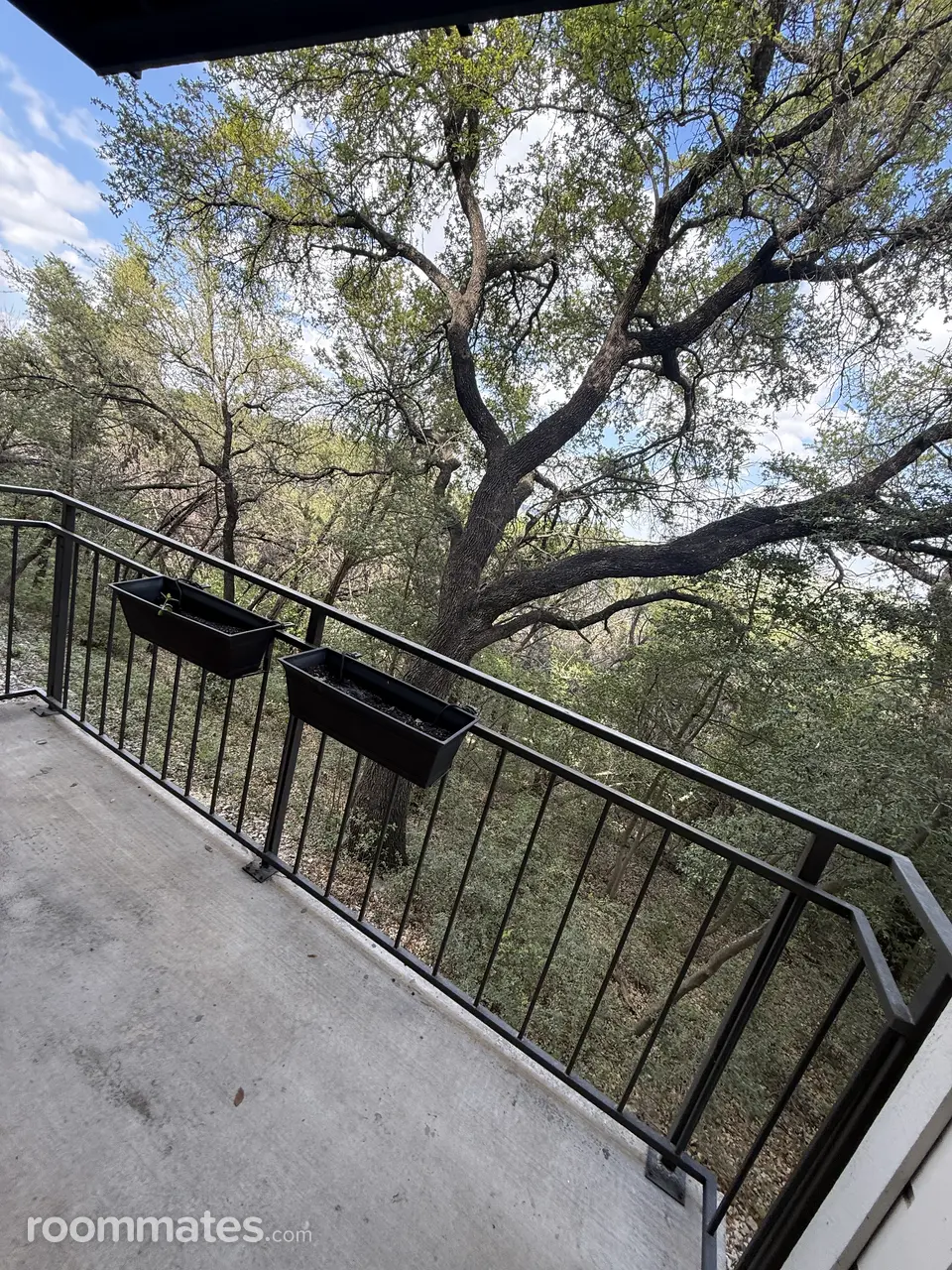 Profile photo 7 of 9