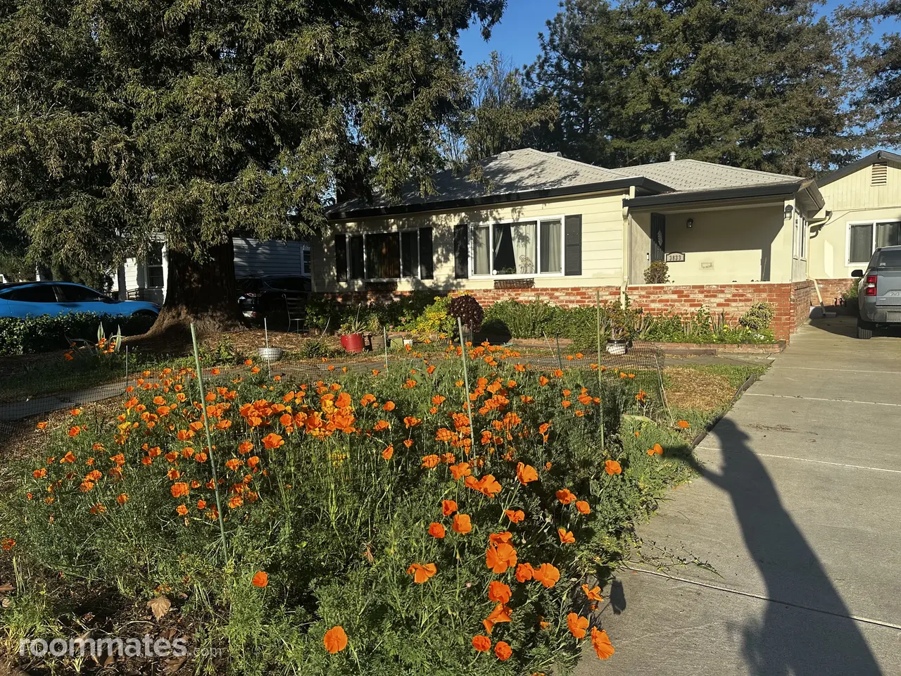 Profile photo 9 of 11