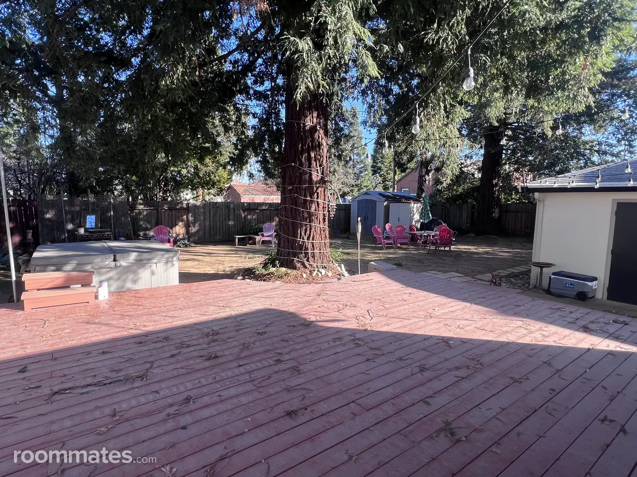 Profile photo 5 of 11