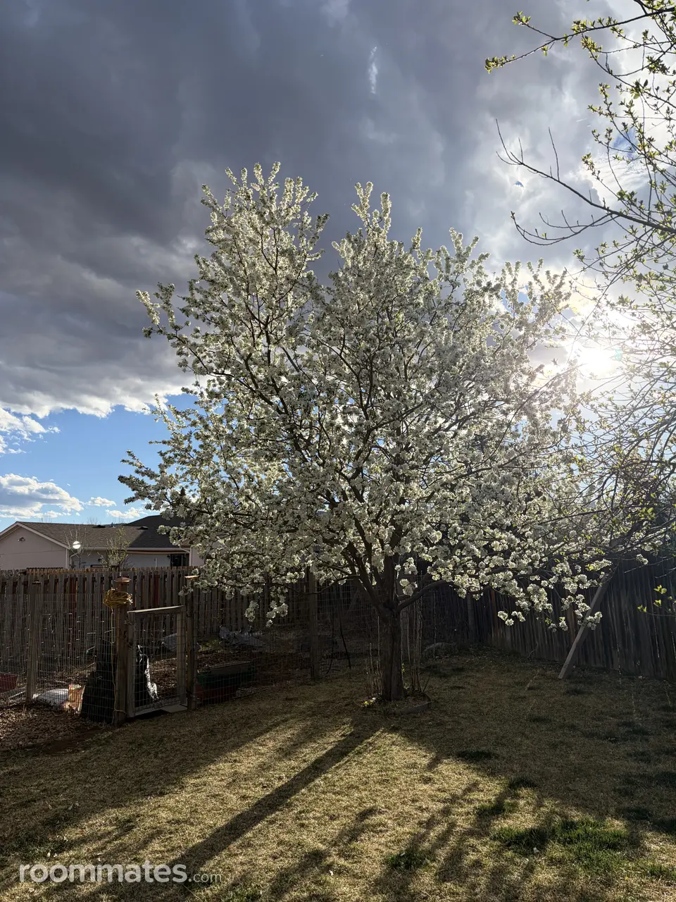 Profile photo 9 of 17