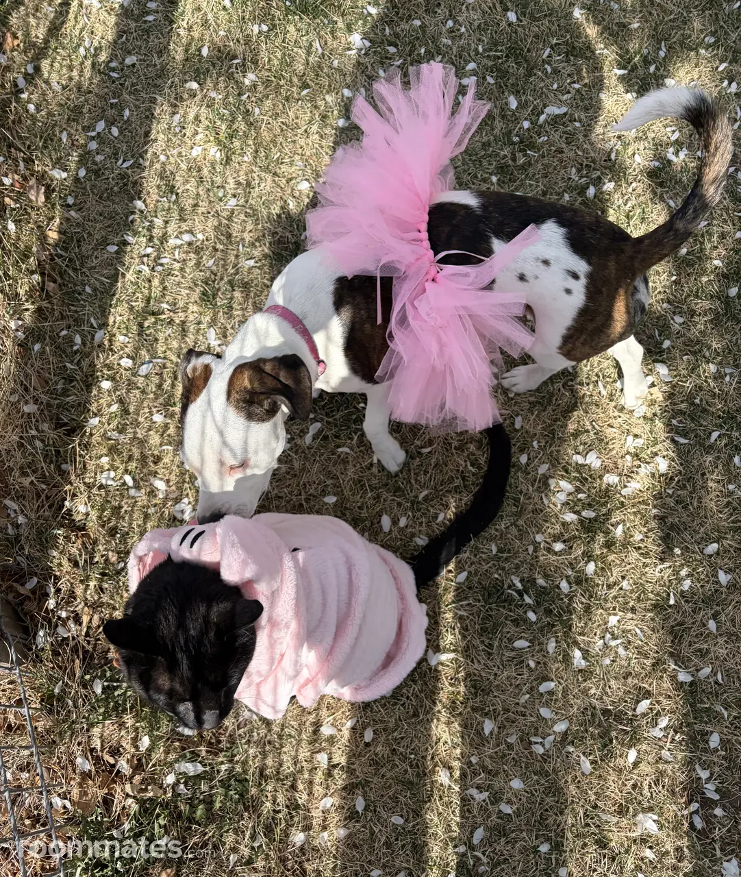 Profile photo 7 of 17