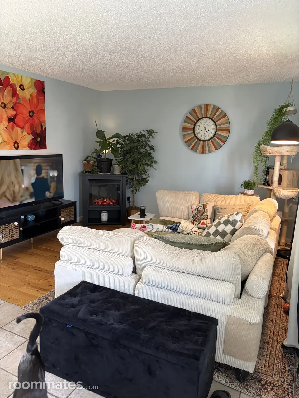 Profile photo 4 of 17