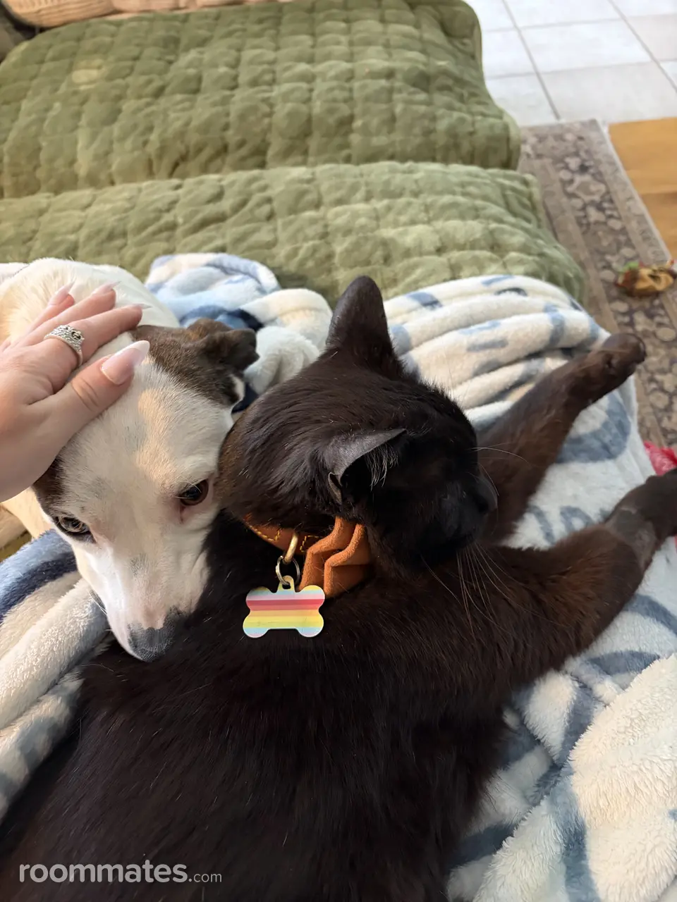 Profile photo 11 of 17