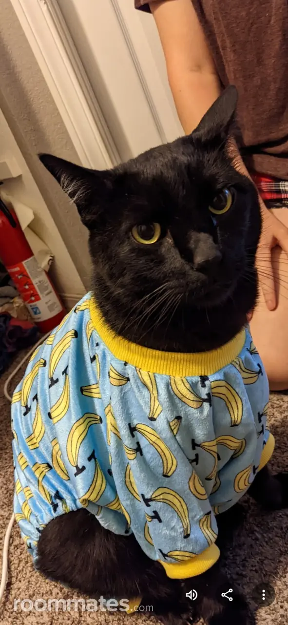 Profile photo 10 of 17