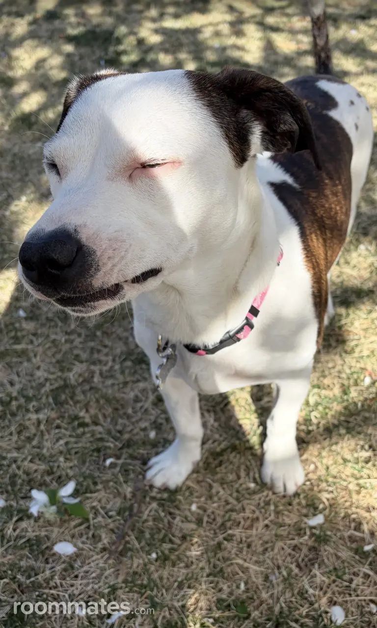 Profile photo 13 of 17