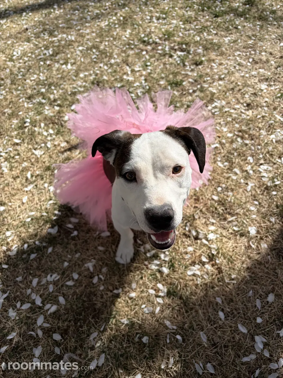 Profile photo 16 of 17