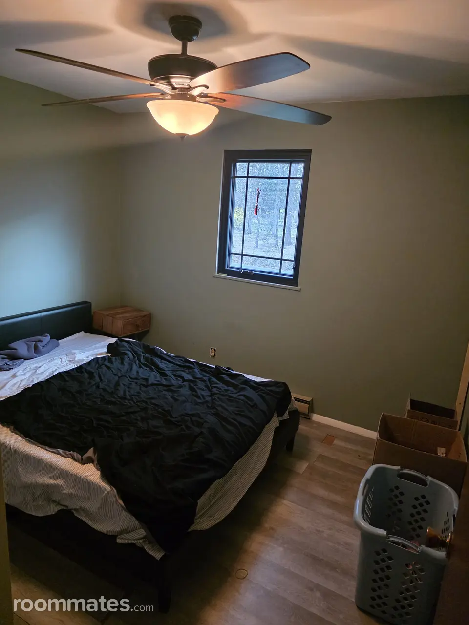 Profile photo 8 of 13