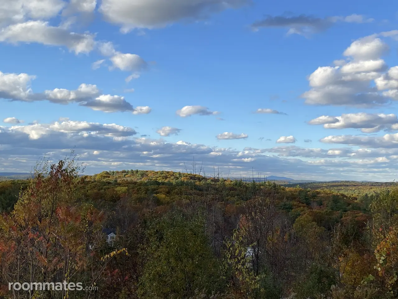 Profile photo 7 of 15