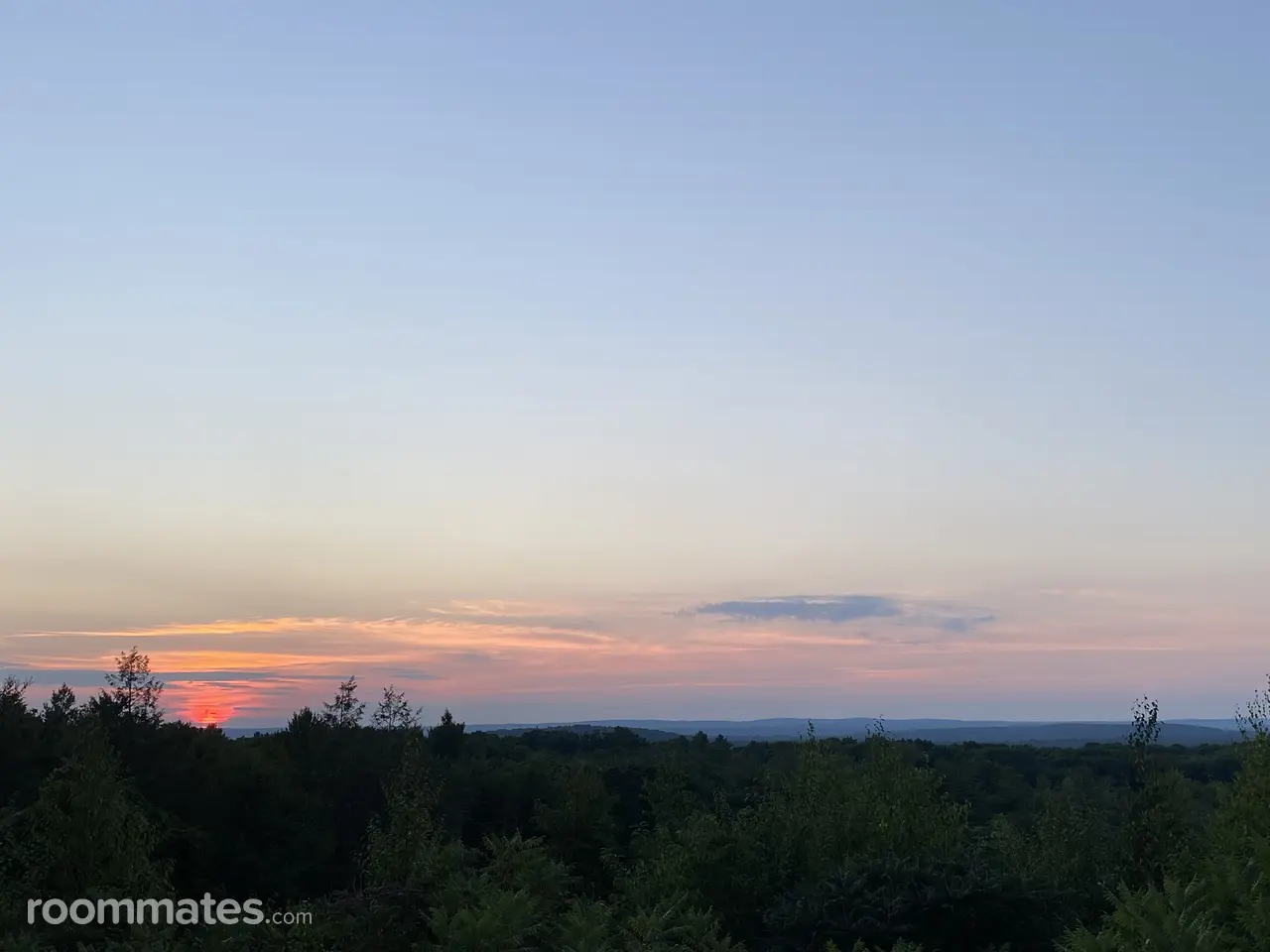 Profile photo 4 of 15