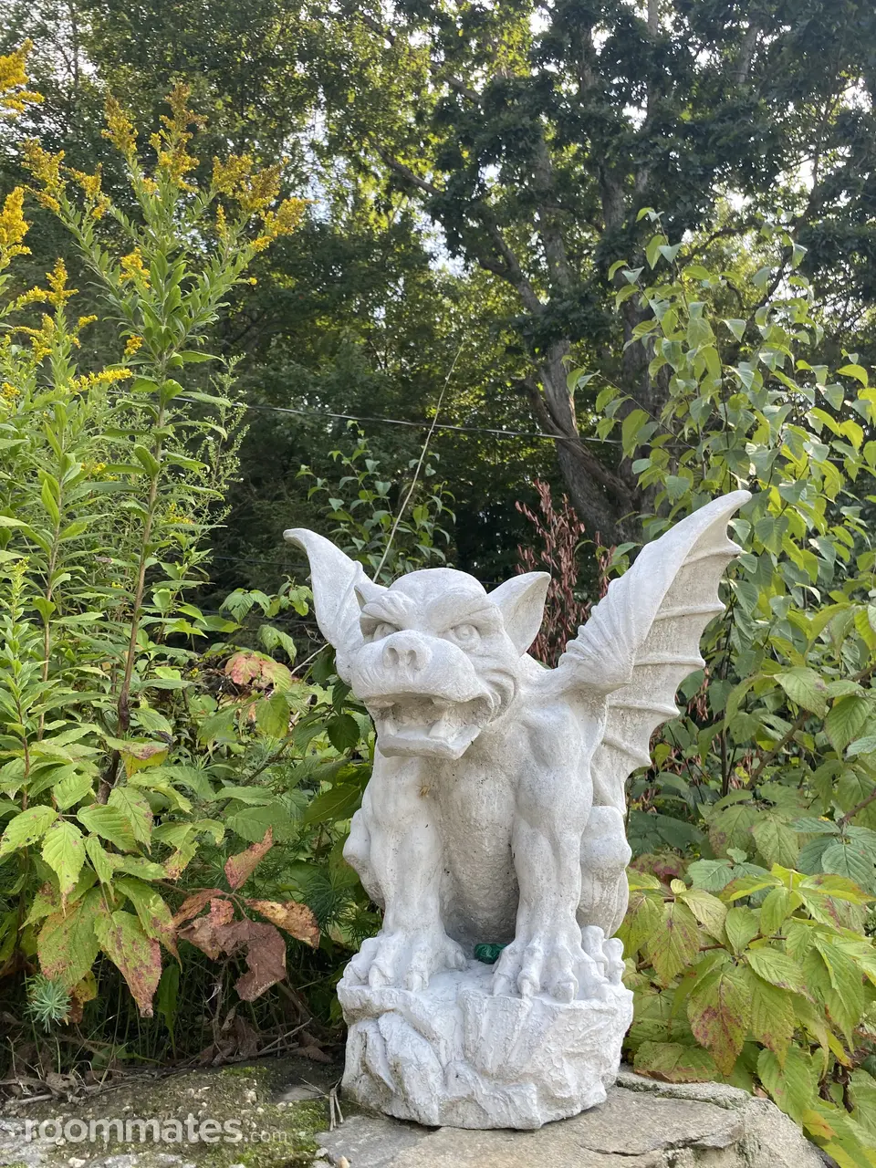 Profile photo 10 of 15