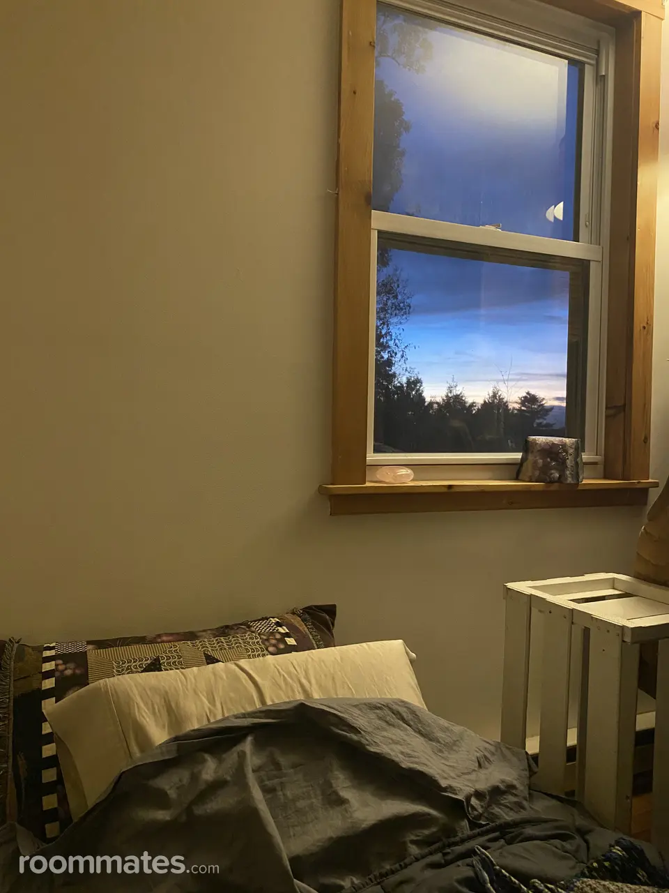 Profile photo 3 of 15