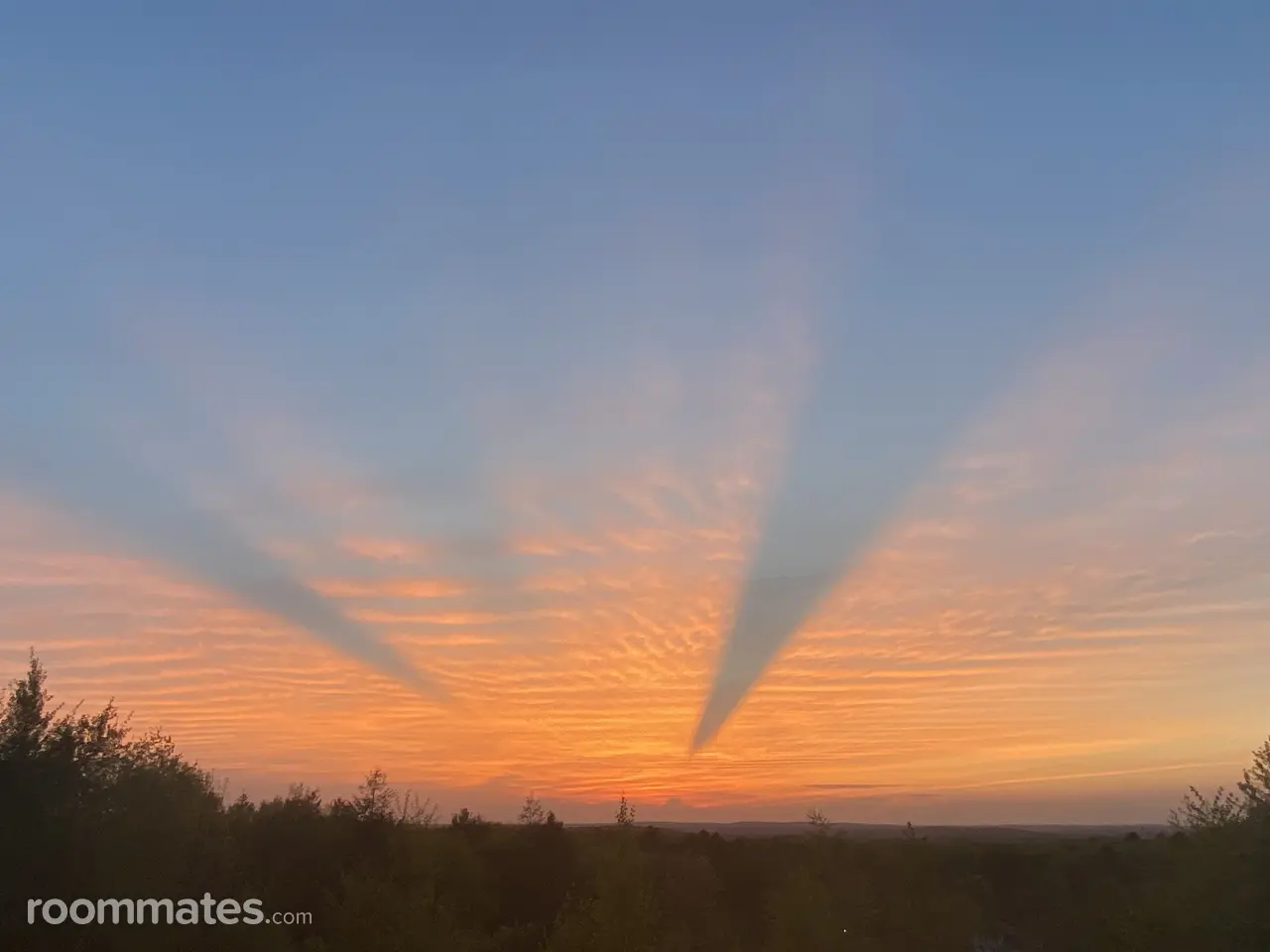 Profile photo 12 of 15