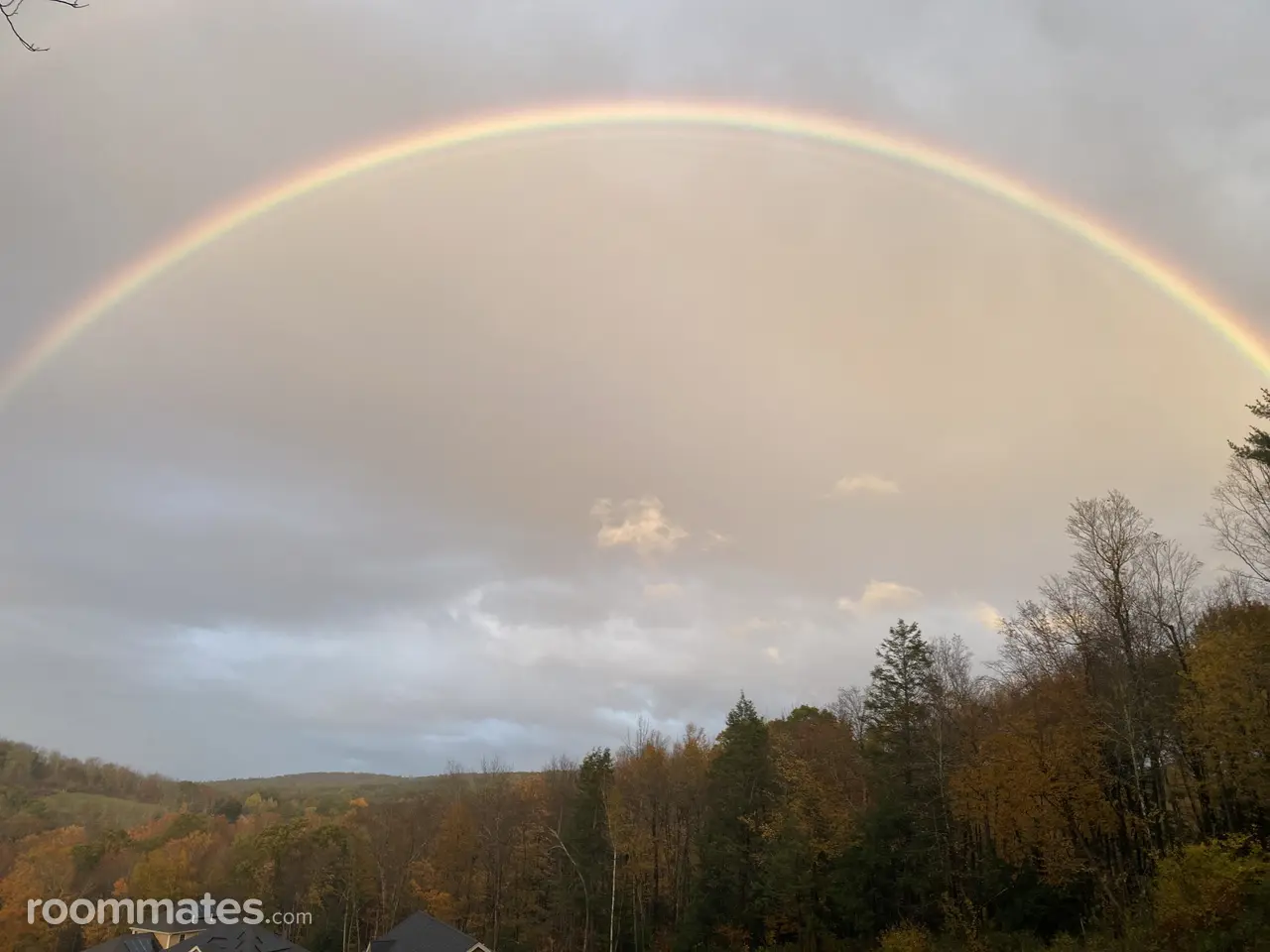 Profile photo 13 of 15